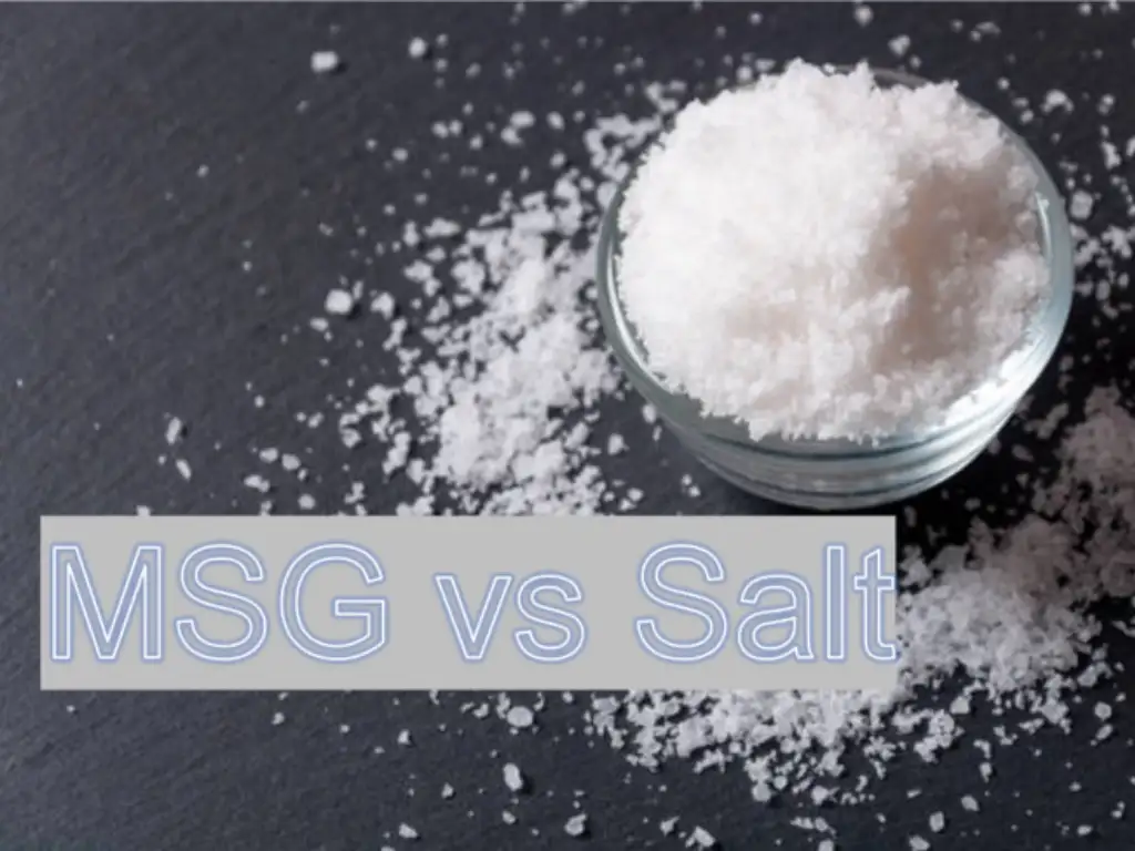 MSG vs sal: todo lo que necesitas saber